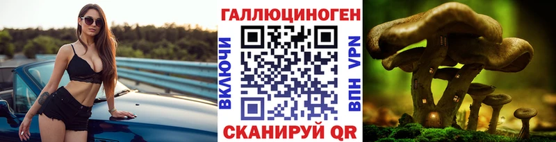 Купить закладки  Петушки  Псилоцибиновые грибы Psilocybe 