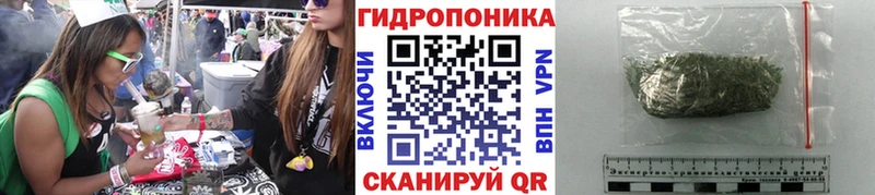 Купить Петушки Марихуана Amnesia